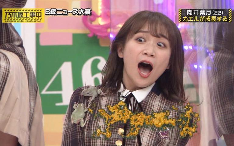 看了乃木坂工事中369，你就是乃木坂46的真粉丝