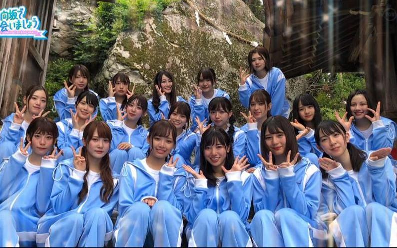 高甜又感人，日向坂女团变身主持人！快来看《在日向坂相会》
