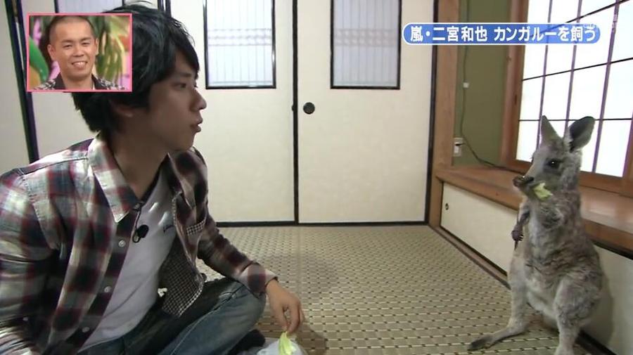 可爱到炸！萌翻你的日本综艺嘉宾疯了日常