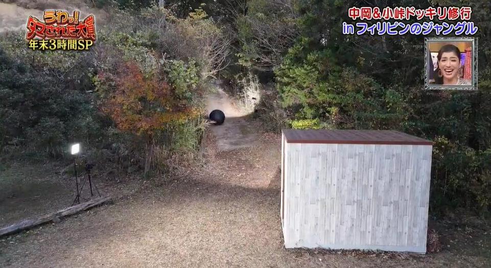 《整人大赏》：日本明星们开心整人，人人爆笑！在哪儿看？