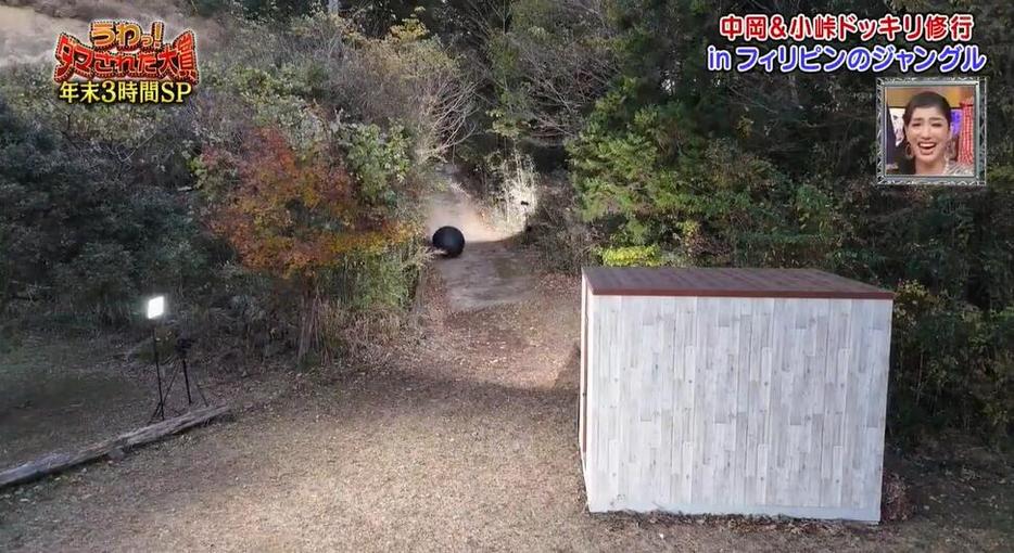 日本综艺节目泥潭：真相与谎言之间的较量，你能分辨出哪个是真的吗？